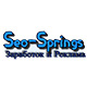 Seo-springs.ru логотип